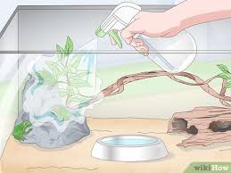 I caught 4 pacific tree frog tadpoles and they already have all of their front and back legs, but i don't know what to feed them. 3 Ways To Care For A Pacific Tree Frog Wikihow