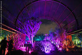 How to use desert botanical garden coupon? Electric Desert After Dark At The Desert Botanical Garden