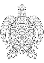 For boys and girls, kids and adults, teenagers … Coloring Pages Reptile Coloring Best For Kids Iguana Zen Turtle Coloring Home