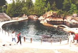 Check spelling or type a new query. Vancouver Aquarium S Gallery Inherently Wild