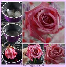 Check spelling or type a new query. Pin On Diy Crafts