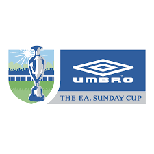 Why don't you let us know. The Fa Cup Vector Logo Download Free Svg Icon Worldvectorlogo