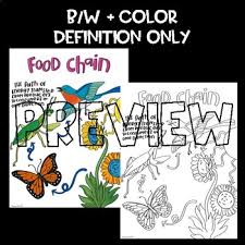 Science Ecology Doodle Scaffolded Notes Anchor Chart Food Chains