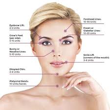 Shearer, Ashley, 502 Park Ave, Clearfield, PA 16830, US