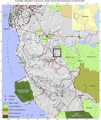 Image result for Grewia rugosifolia