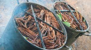 Everything You Need To Know About Ayahuasca Sociedelic Ayahuasca Plant Reverse Diabetes Brain Diseases