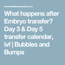 Pin On What Happens After Embryo Transfer