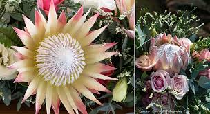 Make petals flowers inc your first choice for premium fresh flowers and upscale design artistry for your dream wedding and all your special occasions! Wedding Flowers Decor Parys Wedding Florist And Bridal Bouquets