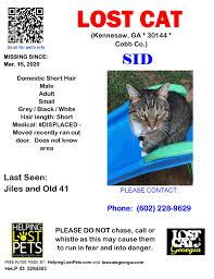 Normal to abnormal hair loss cats shed every day, but when you notice more hair loss or the presence of scabs, blisters, bumps, red skin, bruising, open sores, darkened patches, bald patches, foul odours, cysts, abnormal behavior, and. Lost Cat Kennesaw Ga Mar 15 2020 Closest Intersection Jiles And Old 41 County Cobb Displaced Moved Recently Ran Out Door Lost Cat Losing A Dog Cats