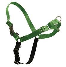 Maybe you would like to learn more about one of these? Premier Eco Easy Walk Harness And Leash Special Dog Product Just For You See It Now Dog Ha Easy Walk Harness Easy Walk Dog Harness Dog Clicker Training