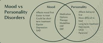 Image result for Mood Disorder