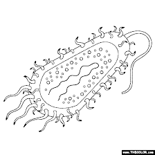 A great collection of coloring sheets where you will find flowers, food, drinks and leaves and trees. Nature Coloring Pages