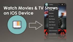 Terrarium tv is one of the best video streaming applications. Terrarium Tv Apk Download For Android Ios Windows Firestick