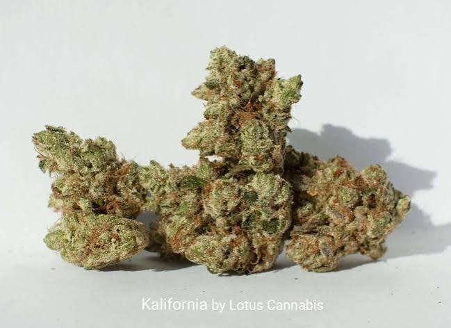 Kalifornia by Lotus Cannabis Co. - Puff The Magic