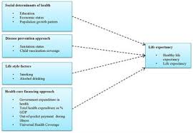 Staying active helps to reduce your risk of conditions like heart disease, diabetes, and stroke. Frontiers The Influence Of Universal Health Coverage On Life Expectancy At Birth Leab And Healthy Life Expectancy Hale A Multi Country Cross Sectional Study Pharmacology
