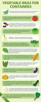Check spelling or type a new query. How To Grow Vegetables In Containers An In Depth Guide
