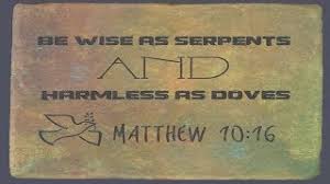 Apr 26, 2021 · snakes (or serpents) get plenty of attention in the bible, which mentions them over 80 times. Be Wise As Serpents And Harmless As Doves Youtube