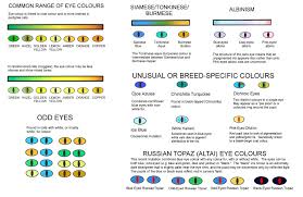 Eye Colours