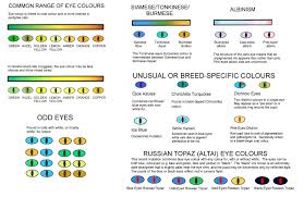 eye colours