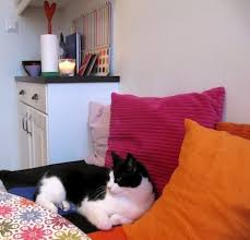 Image result for site:byggahus.se hem