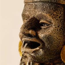 Image result for Exotheca