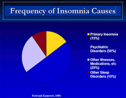 Image result for Insomnia Causes
