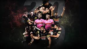 See more ideas about penrith panthers, penrith, panthers. Panthers Crowned 2020 Nrl Minor Premiers Panthers