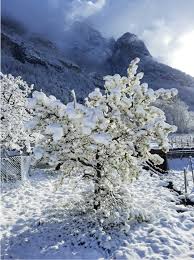 Wetter in tessin bei rostock, postleitzahl 18195. Schweiz Wetter April Verbreitet Zu Kuhl Viel Zu Trocken Und Zu Sonnig Polizei News