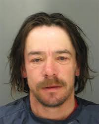 Suspected bunny bandit caught, but rabbit remains