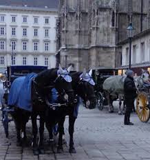 Reisen sie entspannt per kutsche durch wien und erleben sie die stadt von einer anderen seite. Fiaker Abc Zur Volkskunde Osterreichs Kunst Und Kultur Im Austria Forum