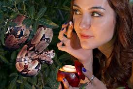 La tentación de Eva