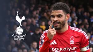 Kritika kapoor sex pictures are not her, but