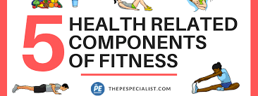 Your health is more important than anything else. The 5 Components Of Health Related Fitness Explained