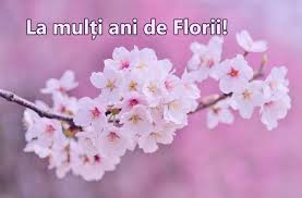 356 likes · 7 talking about this. Imagini De Primavara Cu Mesaje