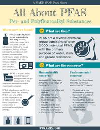 The Dark Waters Movie On Chemicals All About Pfas Water Movie Fact Sheet Movies