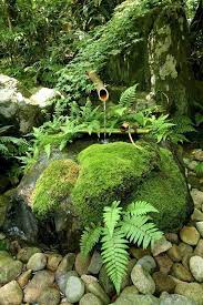 Moss And Stone Basin In 2020 Japan Garden Asian Garden Japanese Garden