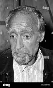 Tv actor hi-res stock photography and images