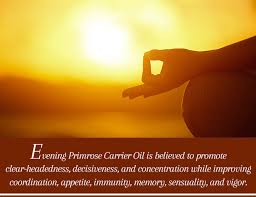 The sterols isolated from evening primrose oil can help reduce inflammation on the scalp. Evening Primrose Oil A Natural Cure All Benefits For Skin Hair