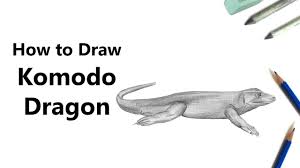 Thanks for watching, like, comment, share, and subscribe!how to draw komodo dragon step by step#komodo #komododragon. Drawings Of Komodo Dragons Novocom Top