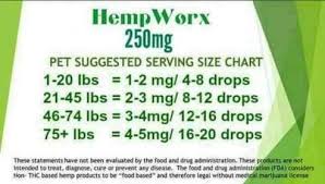 Cbd Pet Oil Hempworx Hempworx 500mg Full Spectrum Cbd