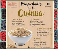 Tierra - Hoy es el día Mundial de la Salud Digestiva. Compartimos una  infografía del Colegio de Nutricionistas de Perú, sobre las propiedades de  la quinua, un alimento ancestral originario del Perú.