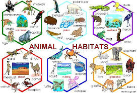 biology anchor charts understanding life systems habitats