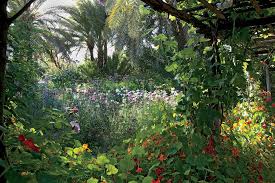Pin On Gardens