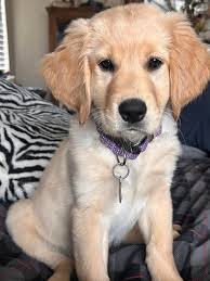 Althea Chapman's Instagram, Twitter & Facebook