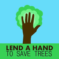 Pin On Forest Tree Talk