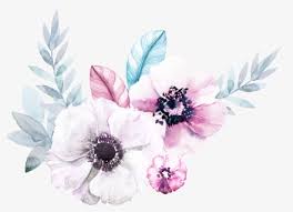 Beautiful flowers backgrounds for desktop. Pretty Flowers Png Images Free Transparent Pretty Flowers Download Kindpng