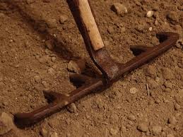 Maybe you would like to learn more about one of these? 6 Types Of Soil You Can Choose For Sodding By My Landscapers Medium