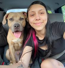 Rehoming 18 month old pitbull, great with kids, needs yard access