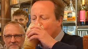 Want a flake with that? Lord Cameron pulls a frothy pint and Ed Davey falls  off a paddleboard in latest general election publicity stunts (but Rishi  finally nails a sporting photo op…