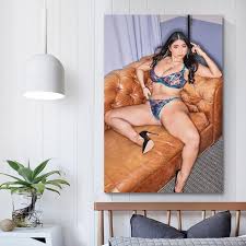Amazon.com: Fangool Sexy Poster Hot Girl Poster Violet Myers Boobs Poster  Porn Star Posters for Room Aesthetic Posters for Bedroom，Canvas Art Poster  And Wall Art Posters for Room Unframe-style 16x24inch(40x60cm): Posters &